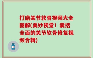打磨关节软骨视频大全图解(美妙视觉！囊括全面的关节软骨修复视频合辑)