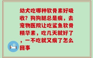 幼犬吃哪种软骨素好吸收？狗狗腿总是瘸，去宠物医院让吃鲨鱼软骨精华素，吃几天就好了，一不吃就又瘸了怎么回事