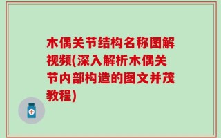 木偶关节结构名称图解视频(深入解析木偶关节内部构造的图文并茂教程)