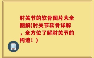 肘关节的软骨图片大全图解(肘关节软骨详解，全方位了解肘关节的构造！)