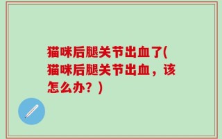 猫咪后腿关节出血了(猫咪后腿关节出血，该怎么办？)