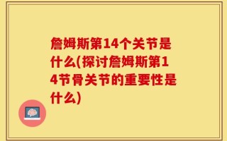 詹姆斯第14个关节是什么(探讨詹姆斯第14节骨关节的重要性是什么)