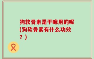 狗软骨素是干嘛用的呢(狗软骨素有什么功效？)