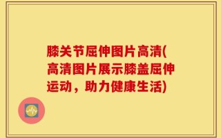 膝关节屈伸图片高清(高清图片展示膝盖屈伸运动，助力健康生活)