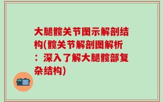 大腿髋关节图示解剖结构(髋关节解剖图解析：深入了解大腿髋部复杂结构)