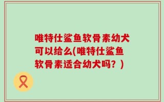 唯特仕鲨鱼软骨素幼犬可以给么(唯特仕鲨鱼软骨素适合幼犬吗？)