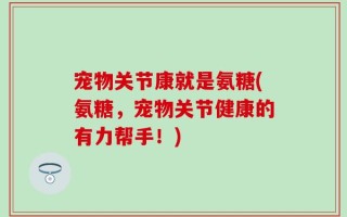 宠物关节康就是氨糖(氨糖，宠物关节健康的有力帮手！)