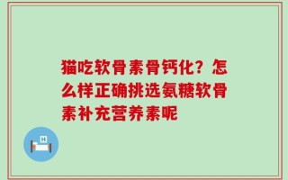 猫吃软骨素骨钙化？怎么样正确挑选氨糖软骨素补充营养素呢