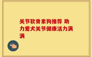 关节软骨素狗推荐 助力爱犬关节健康活力满满