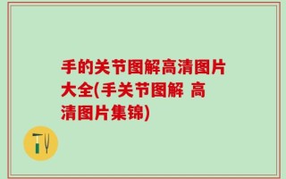 手的关节图解高清图片大全(手关节图解 高清图片集锦)