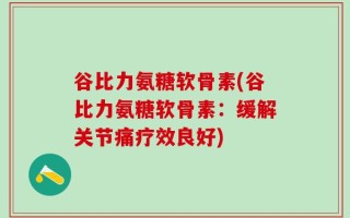谷比力氨糖软骨素(谷比力氨糖软骨素：缓解关节痛疗效良好)