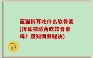 蓝猫折耳吃什么软骨素(折耳猫适合吃软骨素吗？须知饲养秘诀)