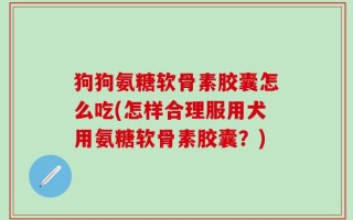 狗狗氨糖软骨素胶囊怎么吃(怎样合理服用犬用氨糖软骨素胶囊？)