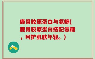 鹿骨胶原蛋白与氨糖(鹿骨胶原蛋白搭配氨糖，呵护肌肤年轻。)