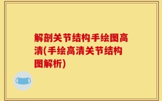 解剖关节结构手绘图高清(手绘高清关节结构图解析)
