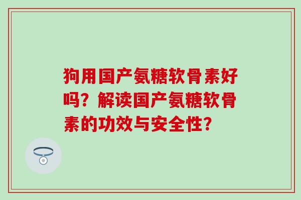 狗用国产氨糖软骨素好吗?解读国产氨糖软骨素的功效与安全性?-第1张图片-氨糖科普网 狗用国产氨糖软骨素好吗?解读国产氨糖软骨素的功效与安全性?-第1张图片-氨糖科普网