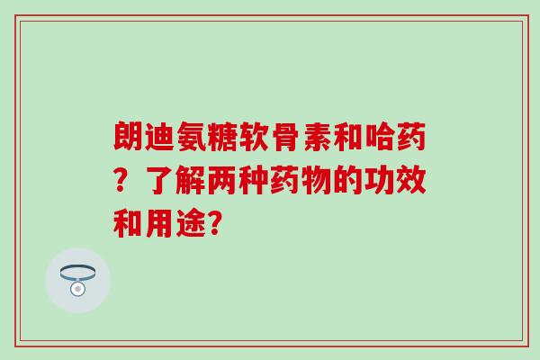 朗迪氨糖软骨素和哈药？了解两种药物的功效和用途？-第1张图片-氨糖科普网