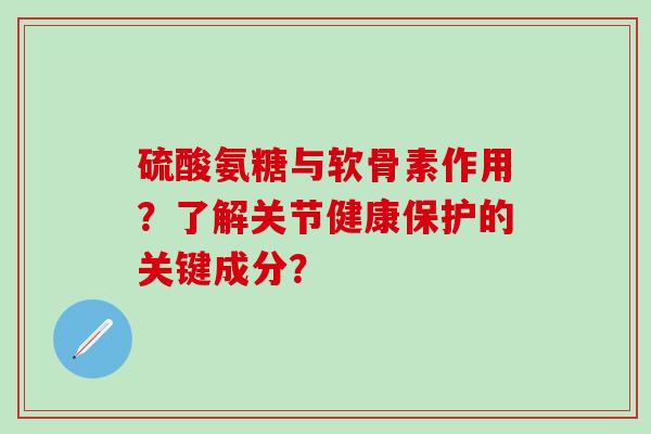 硫酸氨糖与软骨素作用?了解关节健康保护的关键成分?-第1张图片-氨糖科普网 硫酸氨糖与软骨素作用?了解关节健康保护的关键成分?-第1张图片-氨糖科普网