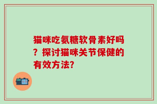 猫咪吃氨糖软骨素好吗？探讨猫咪关节保健的有效方法？-第1张图片-氨糖科普网