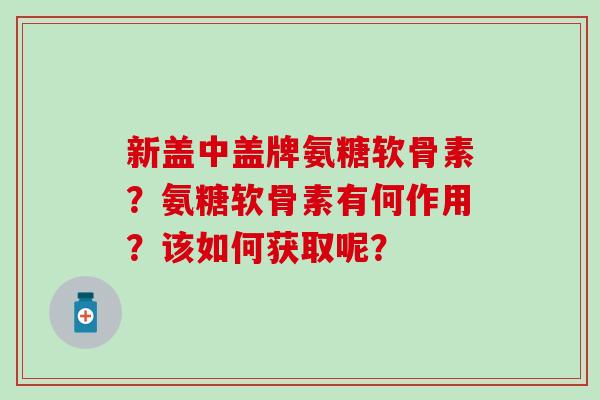 新盖中盖牌氨糖软骨素？氨糖软骨素有何作用？该如何获取呢？-第1张图片-氨糖科普网