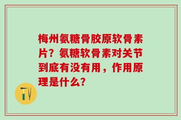 梅州氨糖骨胶原软骨素片?氨糖软骨素对关节到底有没有用,作用原理是什么?-第1张图片-氨糖科普网 梅州氨糖骨胶原软骨素片?氨糖软骨素对关节到底有没有用,作用原理是什么?-第1张图片-氨糖科普网