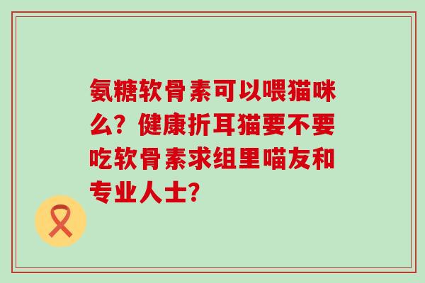 氨糖软骨素可以喂猫咪么？健康折耳猫要不要吃软骨素求组里喵友和专业人士？-第1张图片-氨糖科普网