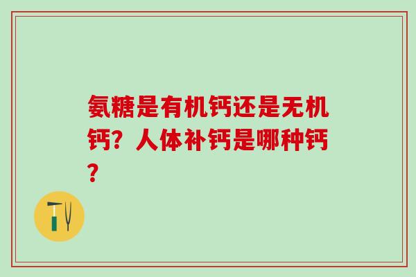 氨糖是有机钙还是无机钙？人体补钙是哪种钙？-第1张图片-氨糖科普网