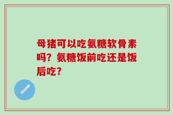 母猪可以吃氨糖软骨素吗？氨糖饭前吃还是饭后吃？-第1张图片-氨糖科普网