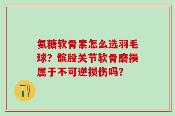 氨糖软骨素怎么选羽毛球?髌股关节软骨磨损属于不可逆损伤吗?-第1张图片-氨糖科普网 氨糖软骨素怎么选羽毛球?髌股关节软骨磨损属于不可逆损伤吗?-第1张图片-氨糖科普网