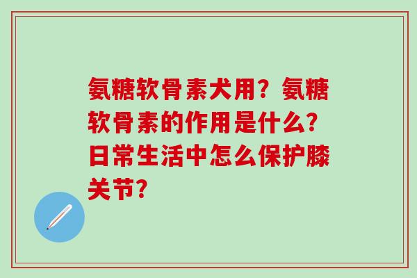 氨糖软骨素犬用?氨糖软骨素的作用是什么?日常生活中怎么保护膝关节?-第1张图片-氨糖科普网 氨糖软骨素犬用?氨糖软骨素的作用是什么?日常生活中怎么保护膝关节?-第1张图片-氨糖科普网