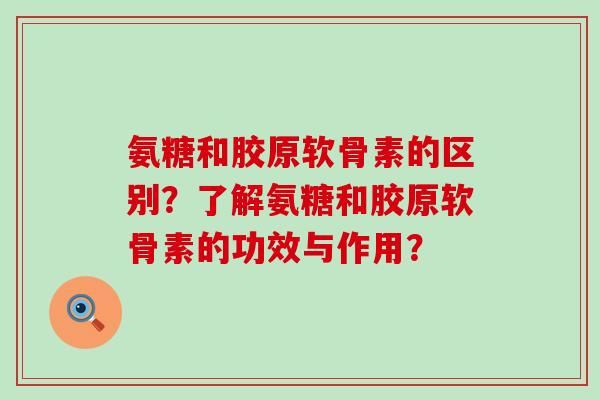 氨糖和胶原软骨素的区别?了解氨糖和胶原软骨素的功效与作用?-第1张图片-氨糖科普网 氨糖和胶原软骨素的区别?了解氨糖和胶原软骨素的功效与作用?-第1张图片-氨糖科普网