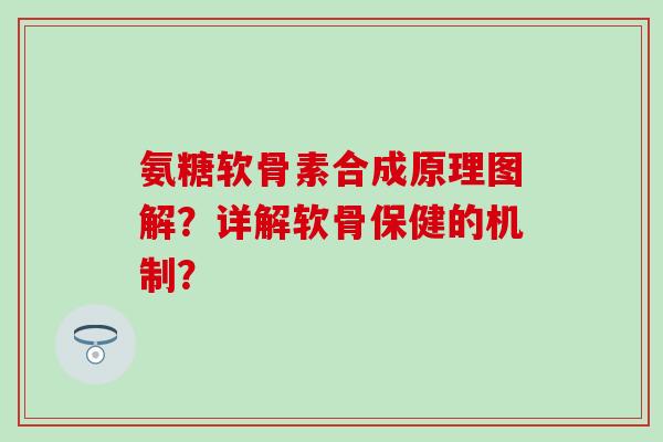 氨糖软骨素合成原理图解?详解软骨保健的机制?-第1张图片-氨糖科普网 氨糖软骨素合成原理图解?详解软骨保健的机制?-第1张图片-氨糖科普网