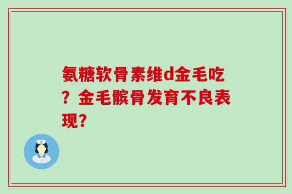 氨糖软骨素维d金毛吃?金毛髌骨发育不良表现?-第1张图片-氨糖科普网 氨糖软骨素维d金毛吃?金毛髌骨发育不良表现?-第1张图片-氨糖科普网
