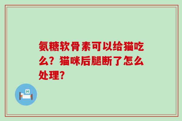 氨糖软骨素可以给猫吃么?猫咪后腿断了怎么处理?-第1张图片-氨糖科普网 氨糖软骨素可以给猫吃么?猫咪后腿断了怎么处理?-第1张图片-氨糖科普网
