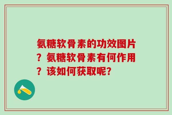 氨糖软骨素的功效图片?氨糖软骨素有何作用?该如何获取呢?-第1张图片-氨糖科普网 氨糖软骨素的功效图片?氨糖软骨素有何作用?该如何获取呢?-第1张图片-氨糖科普网