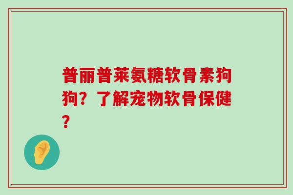 普丽普莱氨糖软骨素狗狗?了解宠物软骨保健?-第1张图片-氨糖科普网 普丽普莱氨糖软骨素狗狗?了解宠物软骨保健?-第1张图片-氨糖科普网