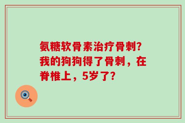 氨糖软骨素治疗骨刺？我的狗狗得了骨刺，在脊椎上，5岁了？-第1张图片-氨糖科普网