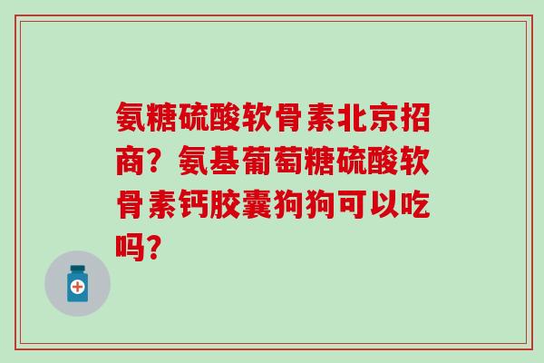 氨糖硫酸软骨素北京招商?氨基葡萄糖硫酸软骨素钙胶囊狗狗可以吃吗?-第1张图片-氨糖科普网 氨糖硫酸软骨素北京招商?氨基葡萄糖硫酸软骨素钙胶囊狗狗可以吃吗?-第1张图片-氨糖科普网