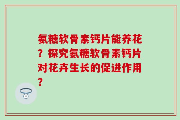 氨糖软骨素钙片能养花?探究氨糖软骨素钙片对花卉生长的促进作用?-第1张图片-氨糖科普网 氨糖软骨素钙片能养花?探究氨糖软骨素钙片对花卉生长的促进作用?-第1张图片-氨糖科普网