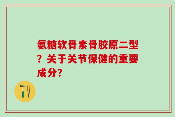 氨糖软骨素骨胶原二型？关于关节保健的重要成分？-第1张图片-氨糖科普网
