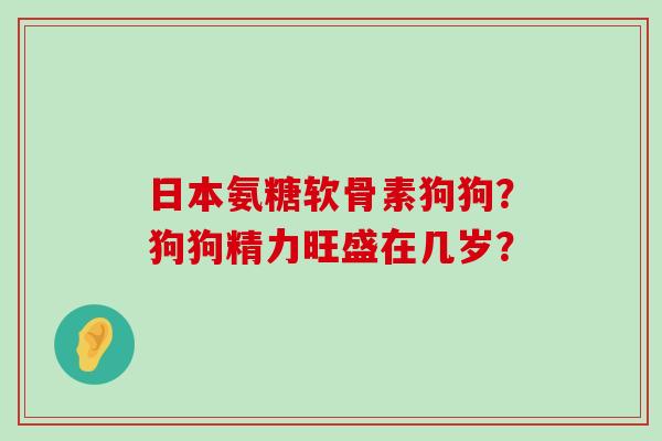 日本氨糖软骨素狗狗?狗狗精力旺盛在几岁?-第1张图片-氨糖科普网 日本氨糖软骨素狗狗?狗狗精力旺盛在几岁?-第1张图片-氨糖科普网