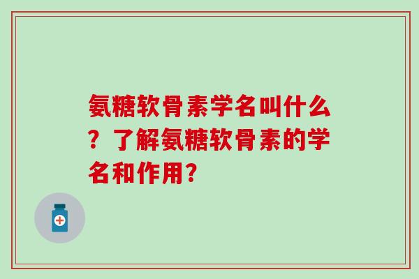 氨糖软骨素学名叫什么?了解氨糖软骨素的学名和作用?-第1张图片-氨糖科普网 氨糖软骨素学名叫什么?了解氨糖软骨素的学名和作用?-第1张图片-氨糖科普网