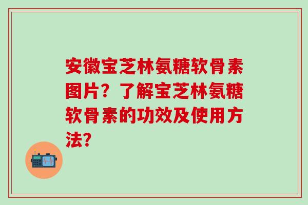 安徽宝芝林氨糖软骨素图片?了解宝芝林氨糖软骨素的功效及使用方法?-第1张图片-氨糖科普网 安徽宝芝林氨糖软骨素图片?了解宝芝林氨糖软骨素的功效及使用方法?-第1张图片-氨糖科普网