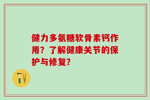 健力多氨糖软骨素钙作用?了解健康关节的保护与修复?-第1张图片-氨糖科普网 健力多氨糖软骨素钙作用?了解健康关节的保护与修复?-第1张图片-氨糖科普网