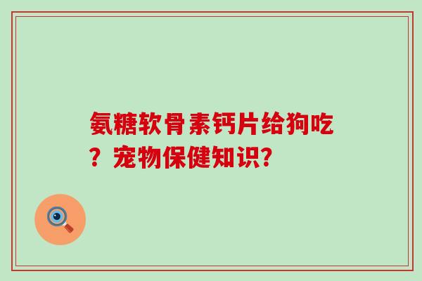 氨糖软骨素钙片给狗吃？宠物保健知识？-第1张图片-氨糖科普网