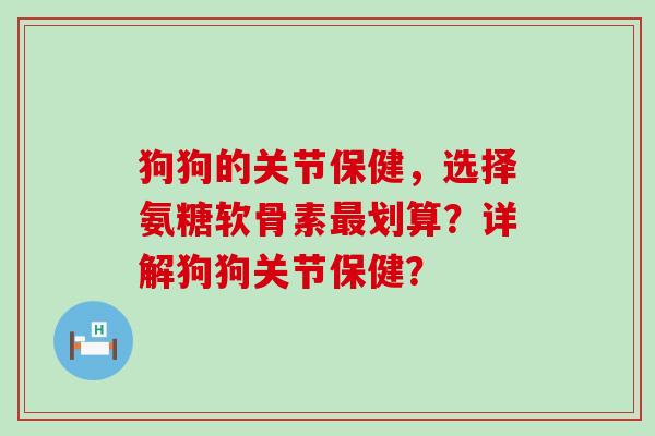 狗狗的关节保健，选择氨糖软骨素最划算？详解狗狗关节保健？-第1张图片-氨糖科普网