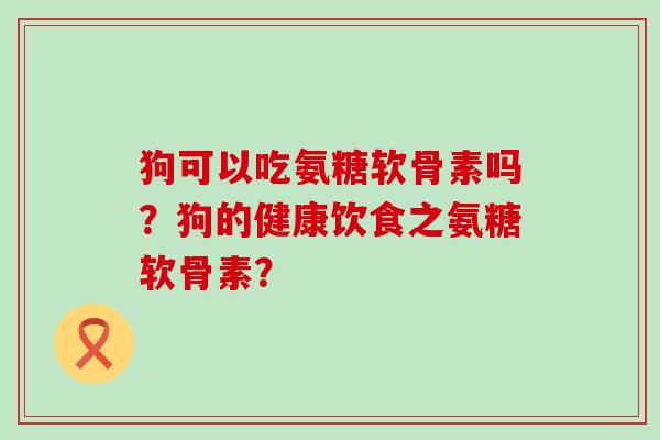 狗可以吃氨糖软骨素吗？狗的健康饮食之氨糖软骨素？-第1张图片-氨糖科普网