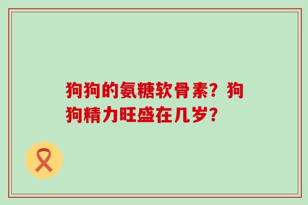 狗狗的氨糖软骨素?狗狗精力旺盛在几岁?-第1张图片-氨糖科普网 狗狗的氨糖软骨素?狗狗精力旺盛在几岁?-第1张图片-氨糖科普网