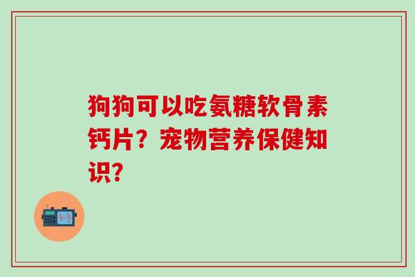 狗狗可以吃氨糖软骨素钙片?宠物营养保健知识?-第1张图片-氨糖科普网 狗狗可以吃氨糖软骨素钙片?宠物营养保健知识?-第1张图片-氨糖科普网