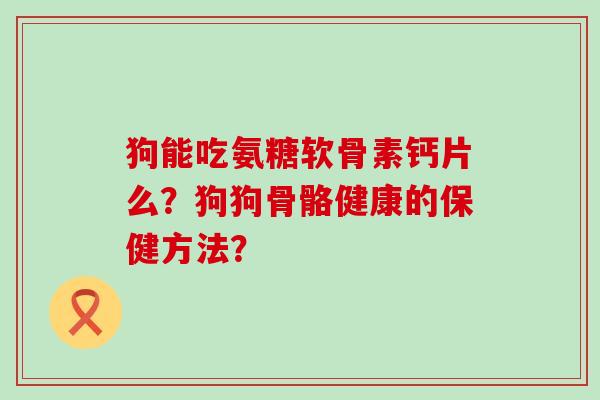 狗能吃氨糖软骨素钙片么?狗狗骨骼健康的保健方法?-第1张图片-氨糖科普网 狗能吃氨糖软骨素钙片么?狗狗骨骼健康的保健方法?-第1张图片-氨糖科普网